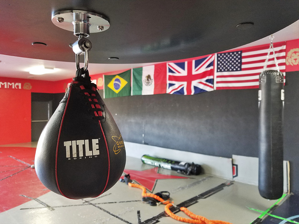 OneHit MMA authentic MMA training center