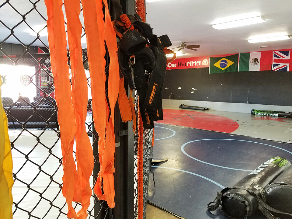 OneHit MMA premiere training gym